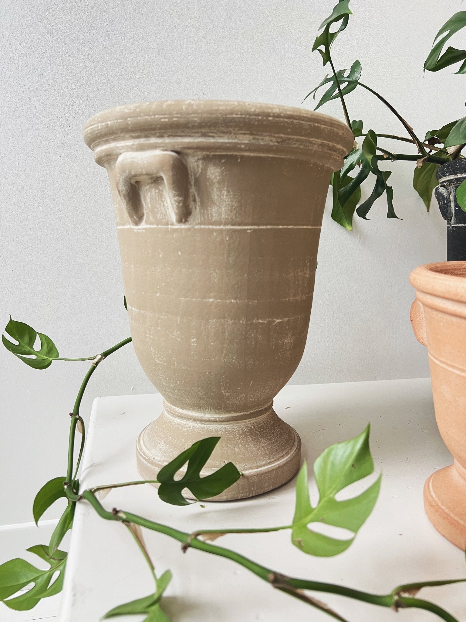 Provence Cachepot
