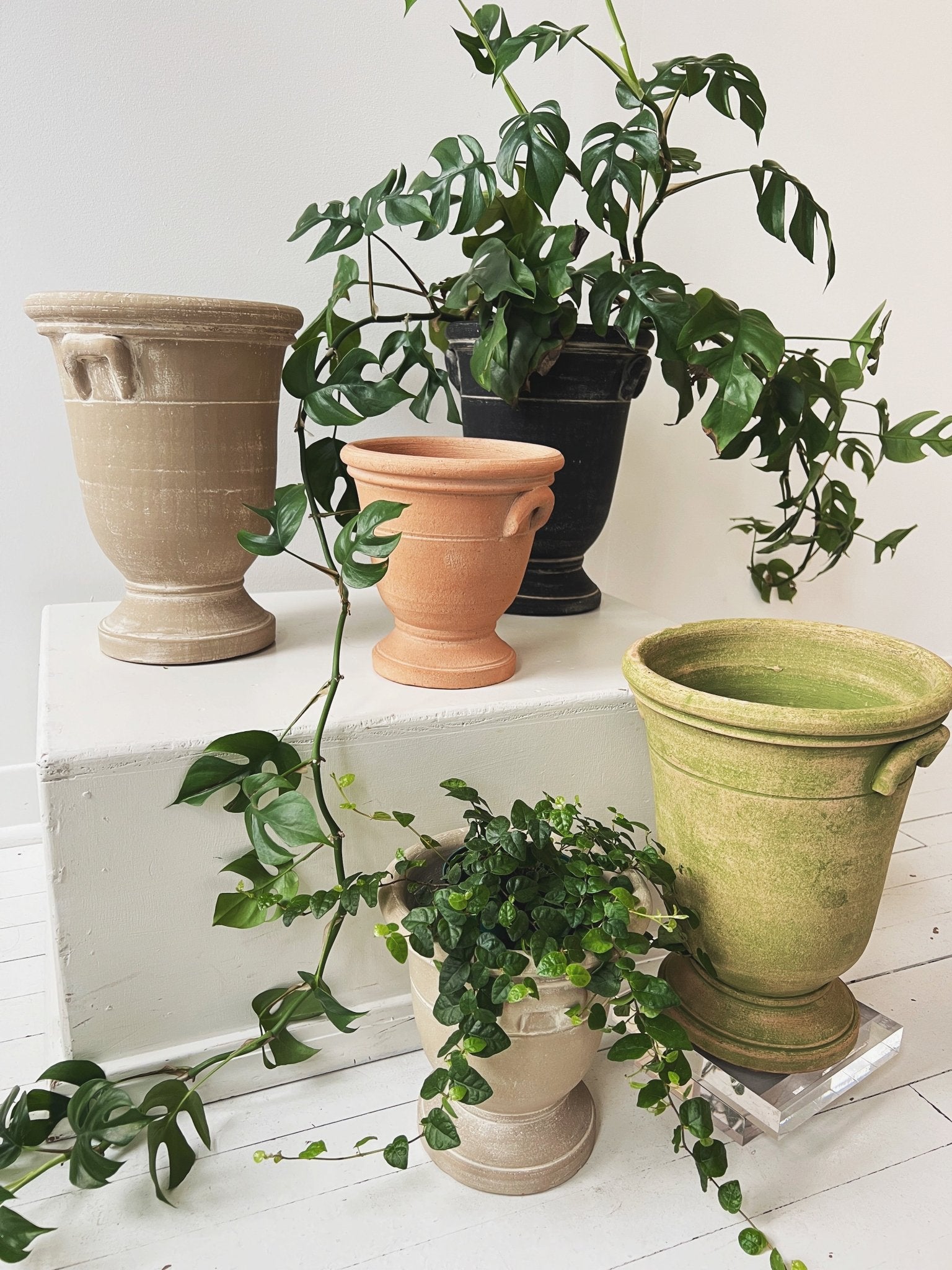 Provence Cachepot