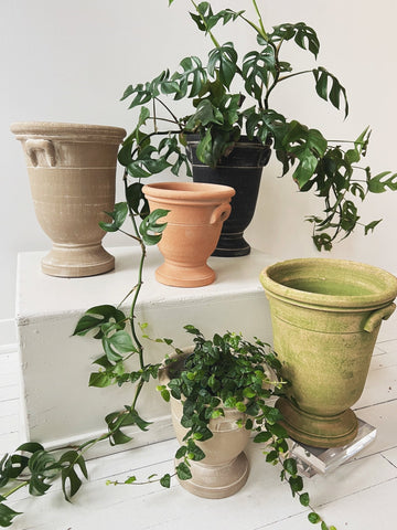 Provence Cachepot