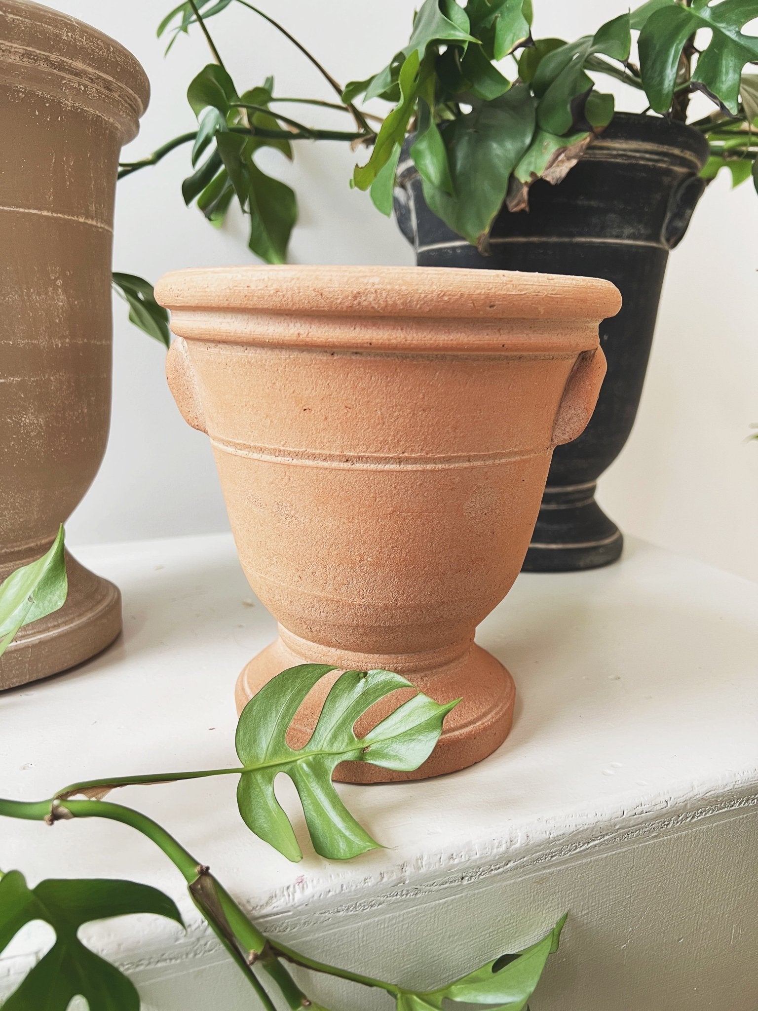 Provence Cachepot