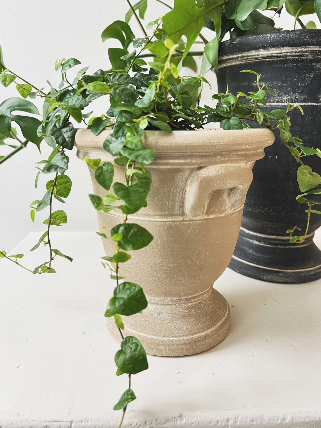 Provence Cachepot