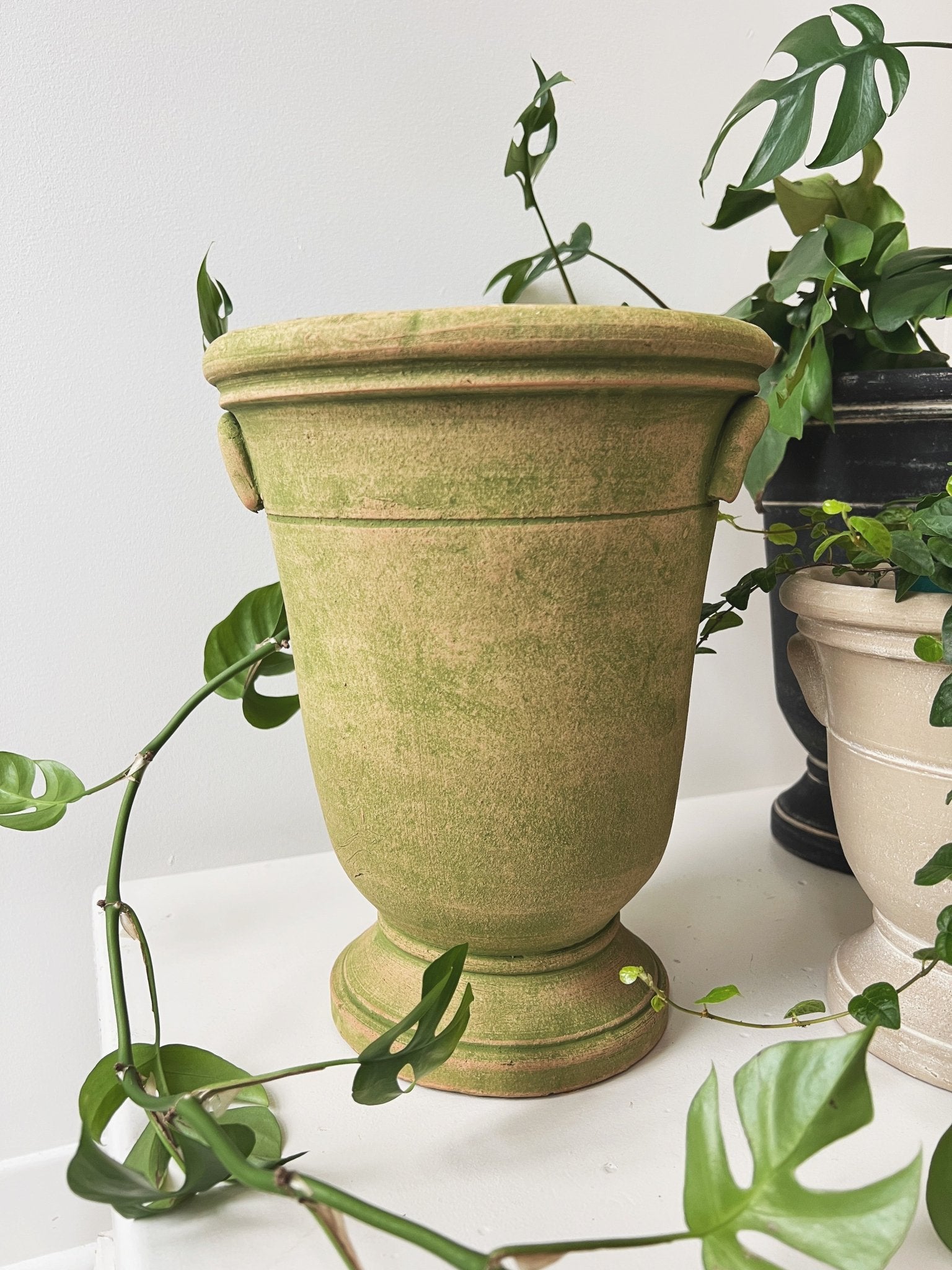 Provence Cachepot
