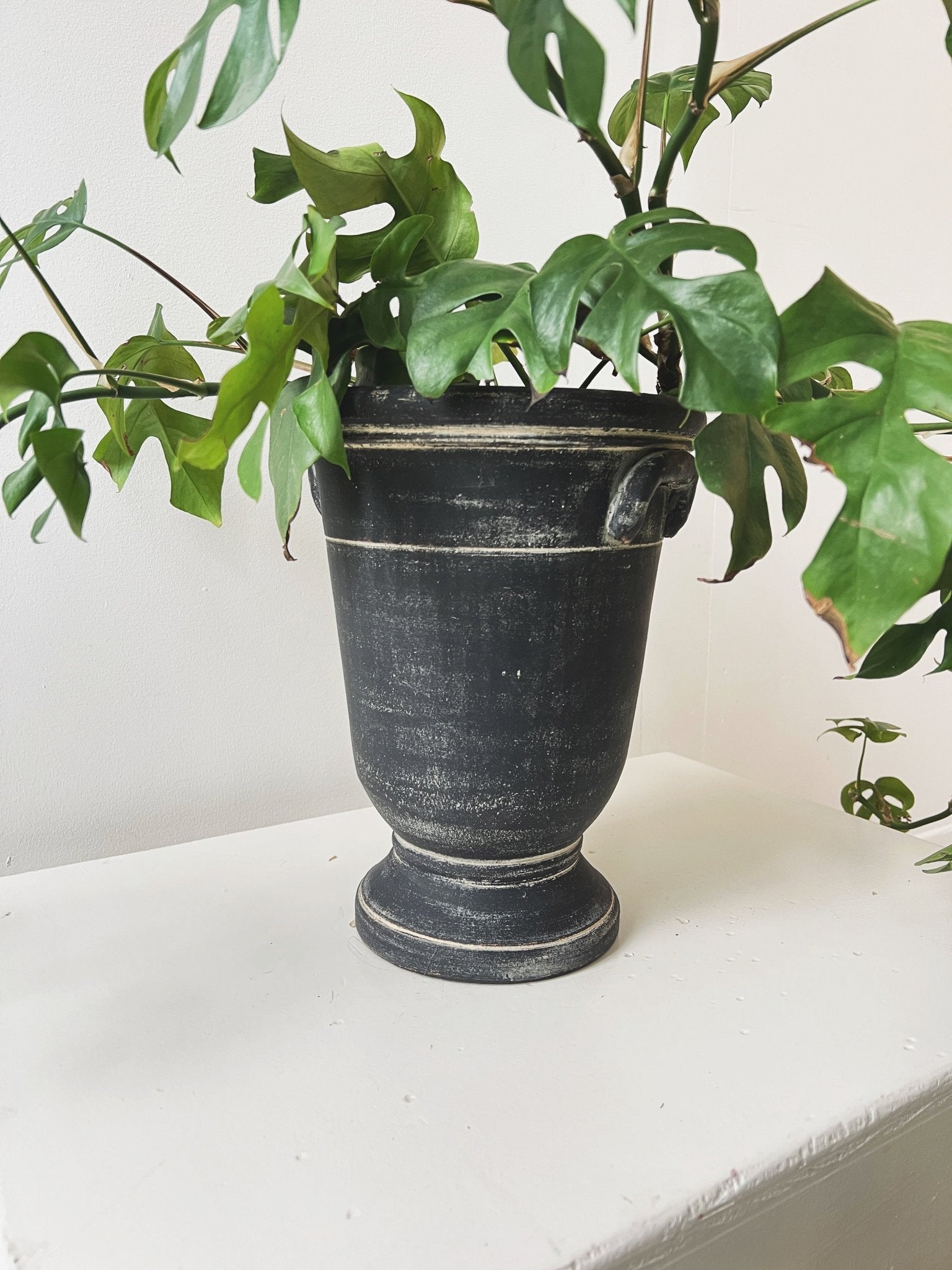 Provence Cachepot