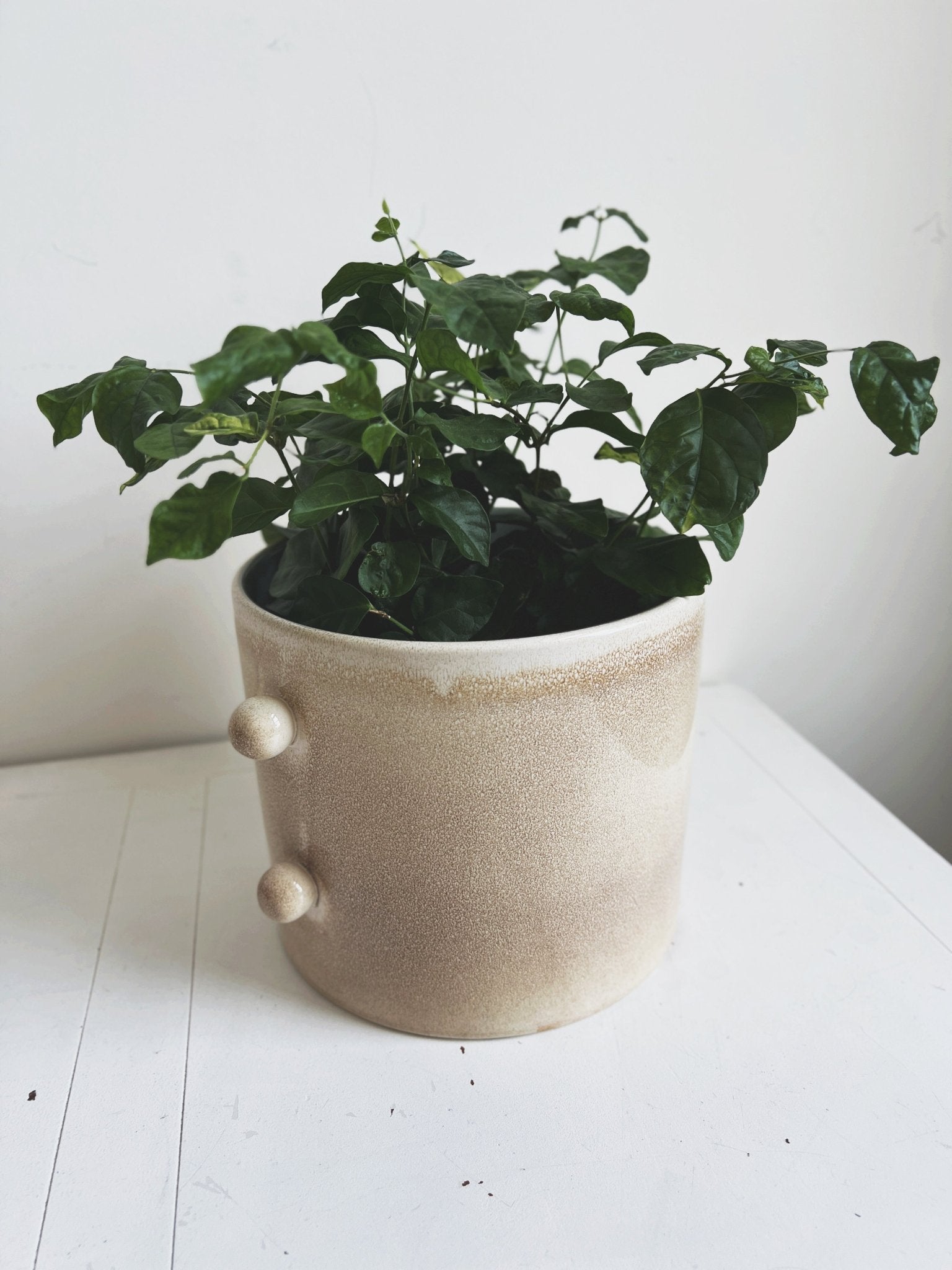 Stoneware Planter w/ Glaze