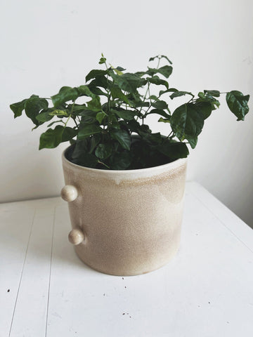 Stoneware Planter w/ Glaze