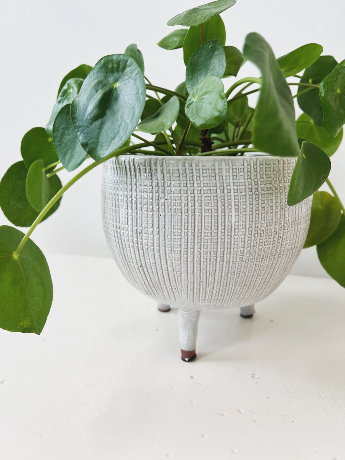 Textured Planter w/ Feet
