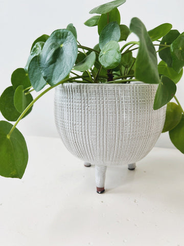 Textured Planter w/ Feet