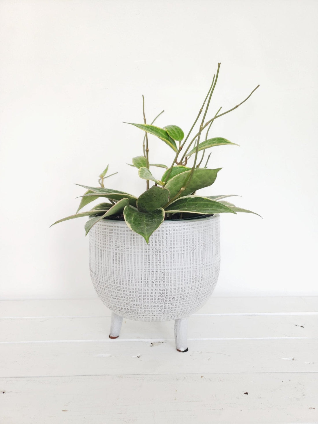 Textured Planter w/ Feet