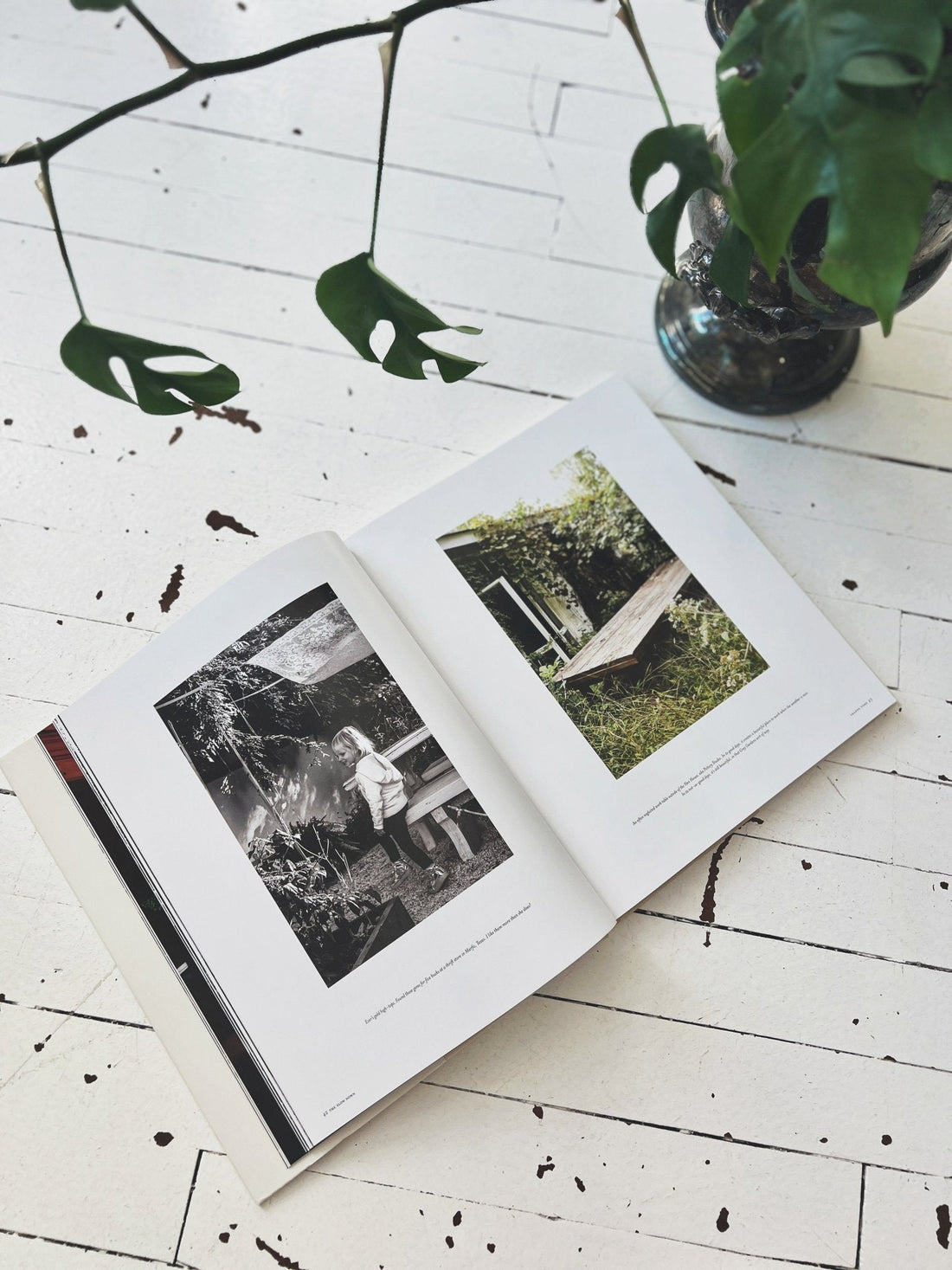 The Slow Down: For the Love of Home