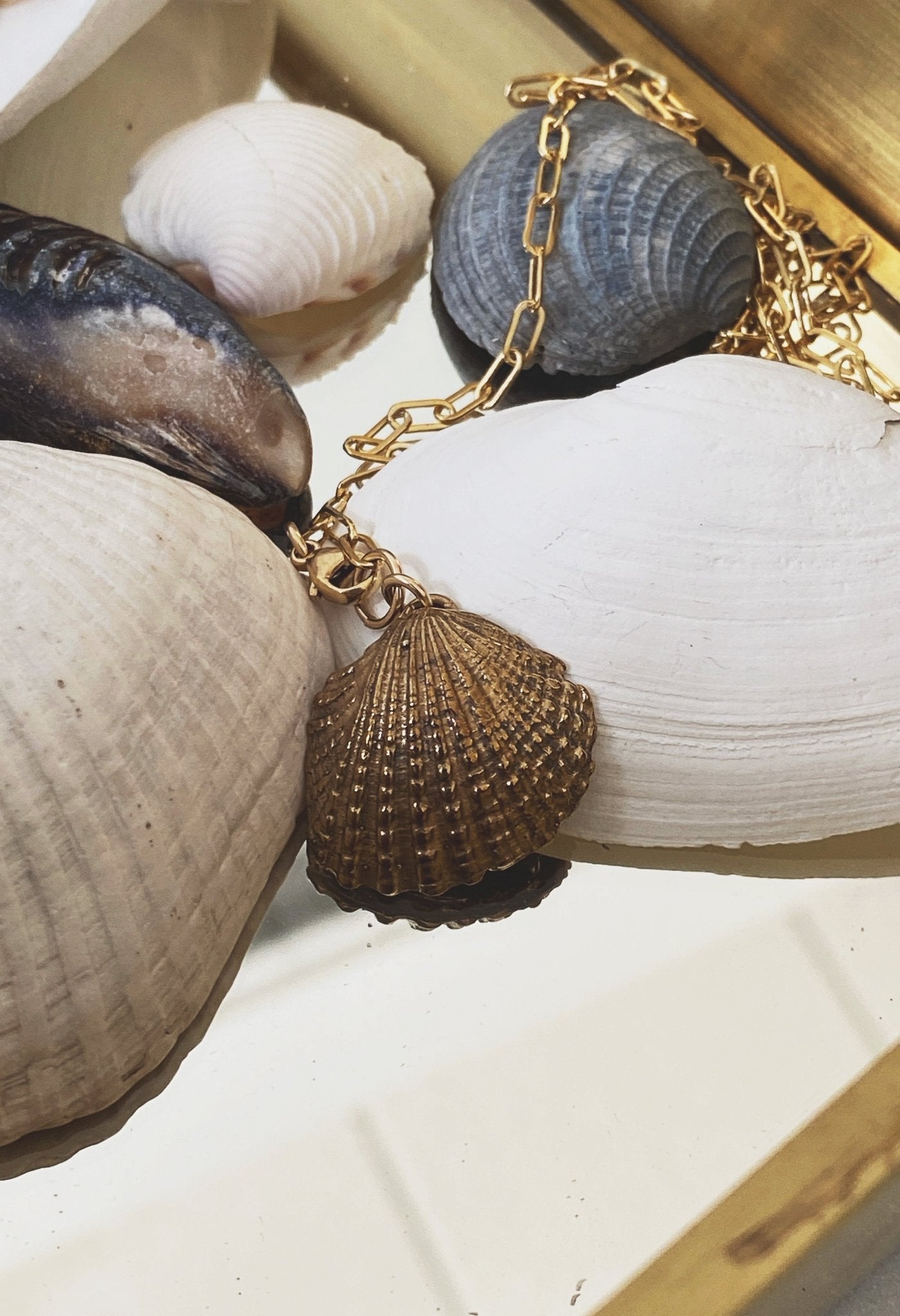Venus Shell Necklace, GF/GP