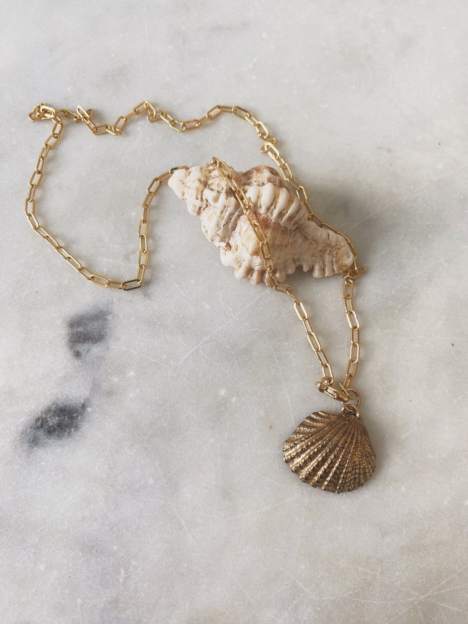 Venus Shell Necklace, GF/GP