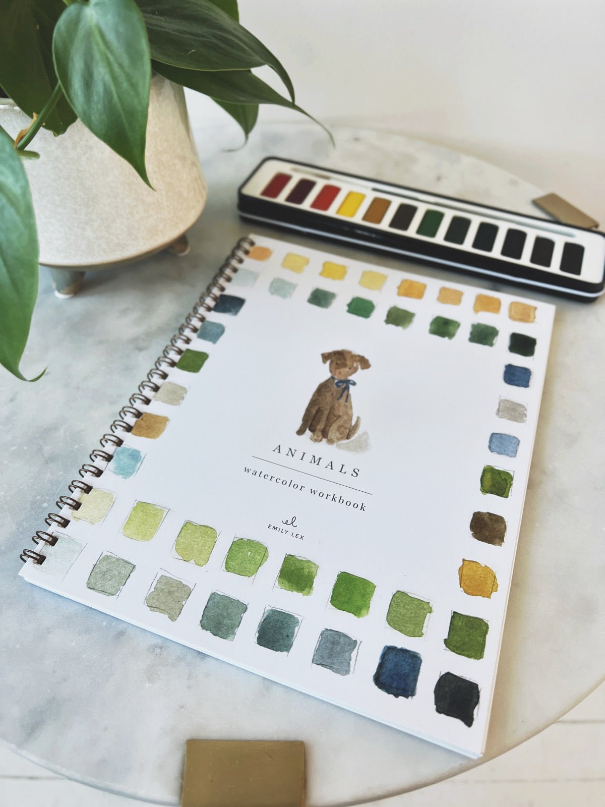 Watercolor Workbook