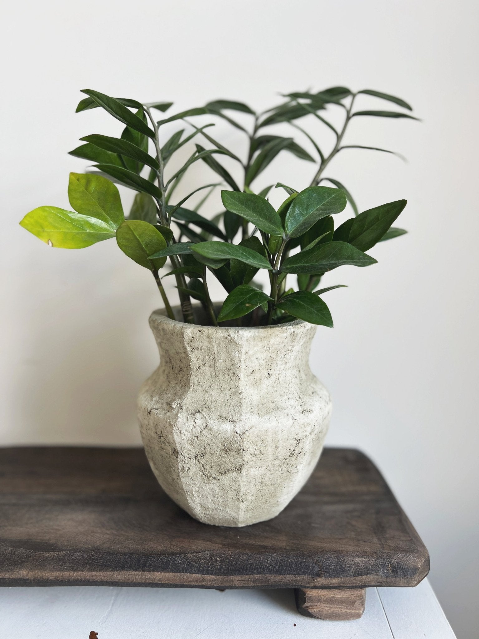 White Clay Vase